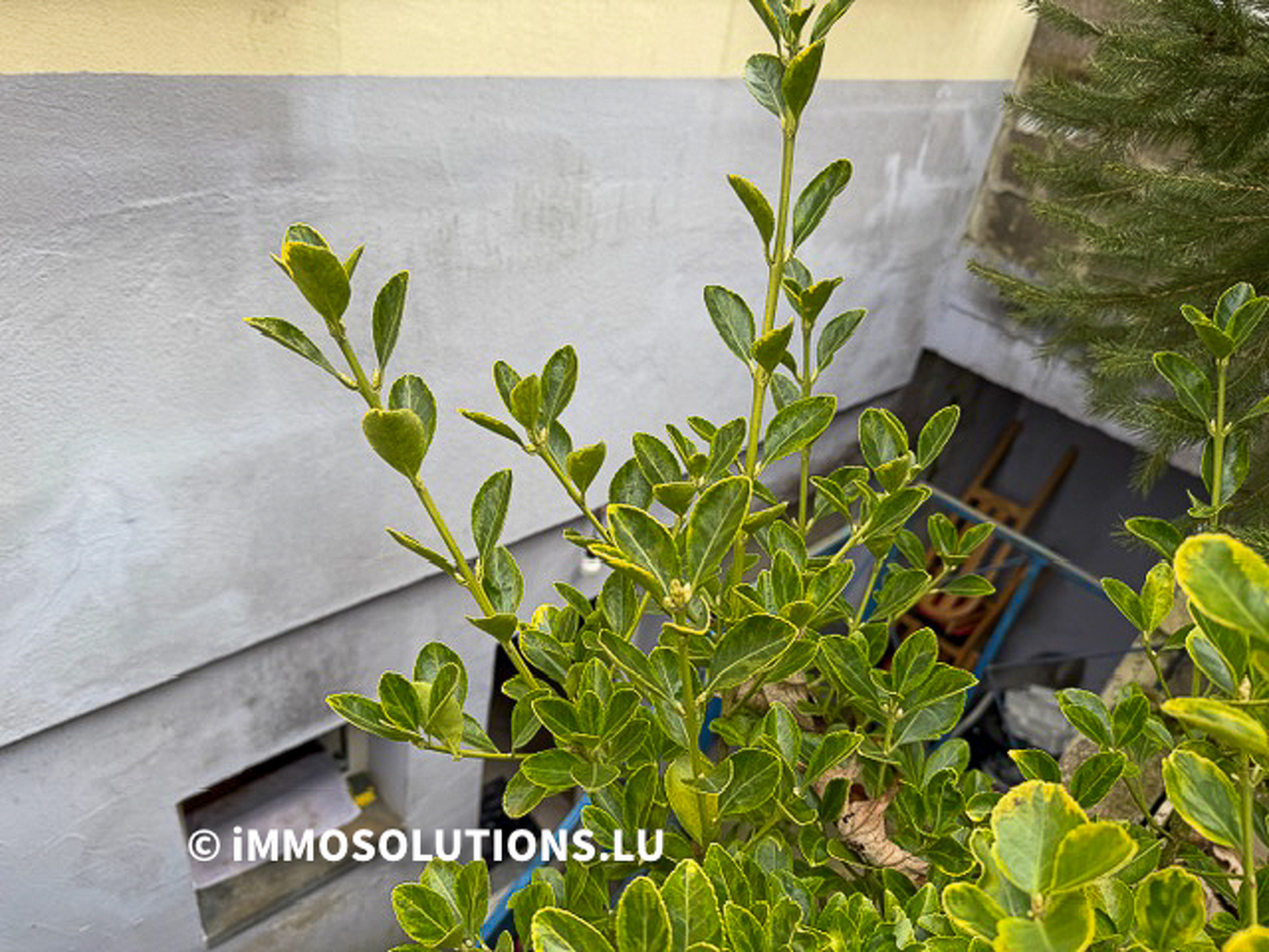 Appartement — Esch-Sur-Alzette · 48 m² - photo 4